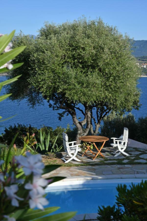 Villa Vetricella Corse Sud Ольмето Экстерьер фото